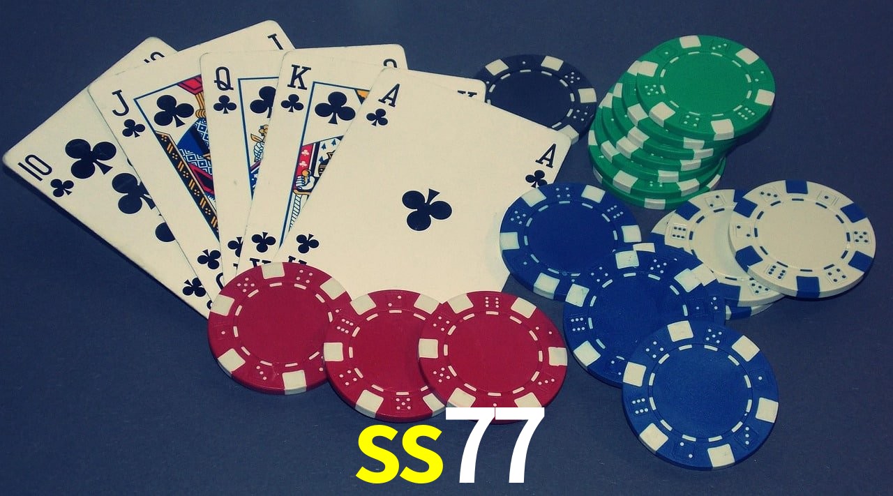 Casino Ao Vivo ss77